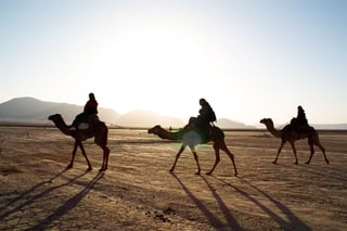 3 Camels and their riders