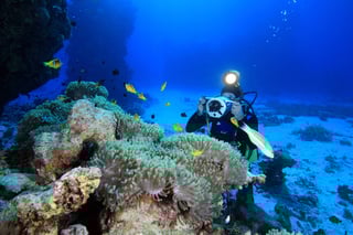 Diver photographing corals in Red Sea