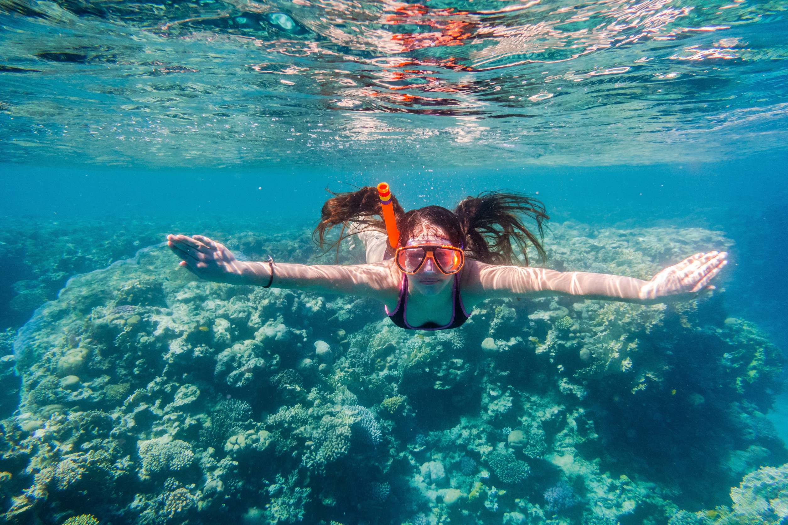 A Girl diving in Red Sea