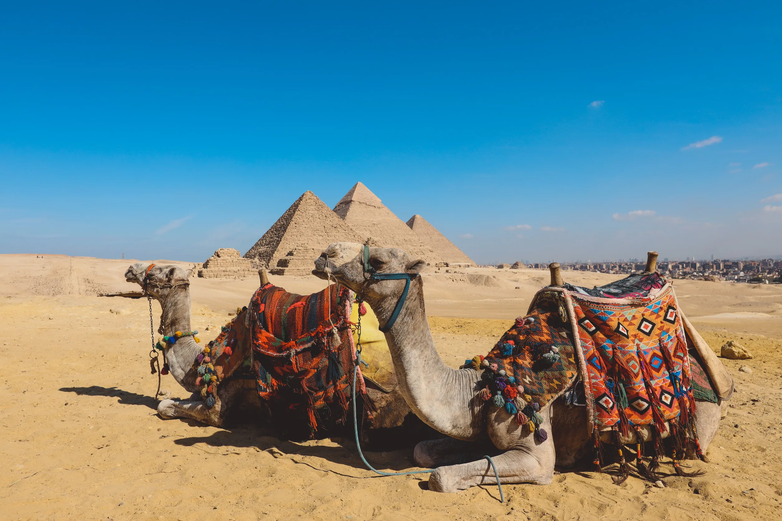 https egypt eta com images amazing view to the one of the wonders of the ancient world great pyramids of giza with camels