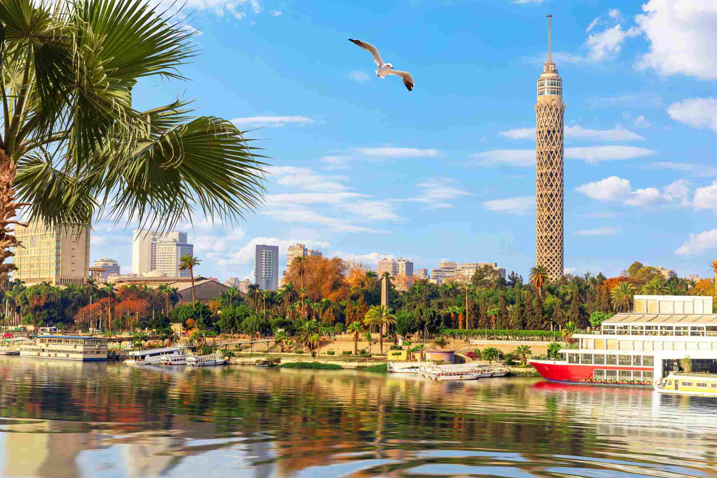https egypt eta com images cairo downtown view on the nile and the tower egyp