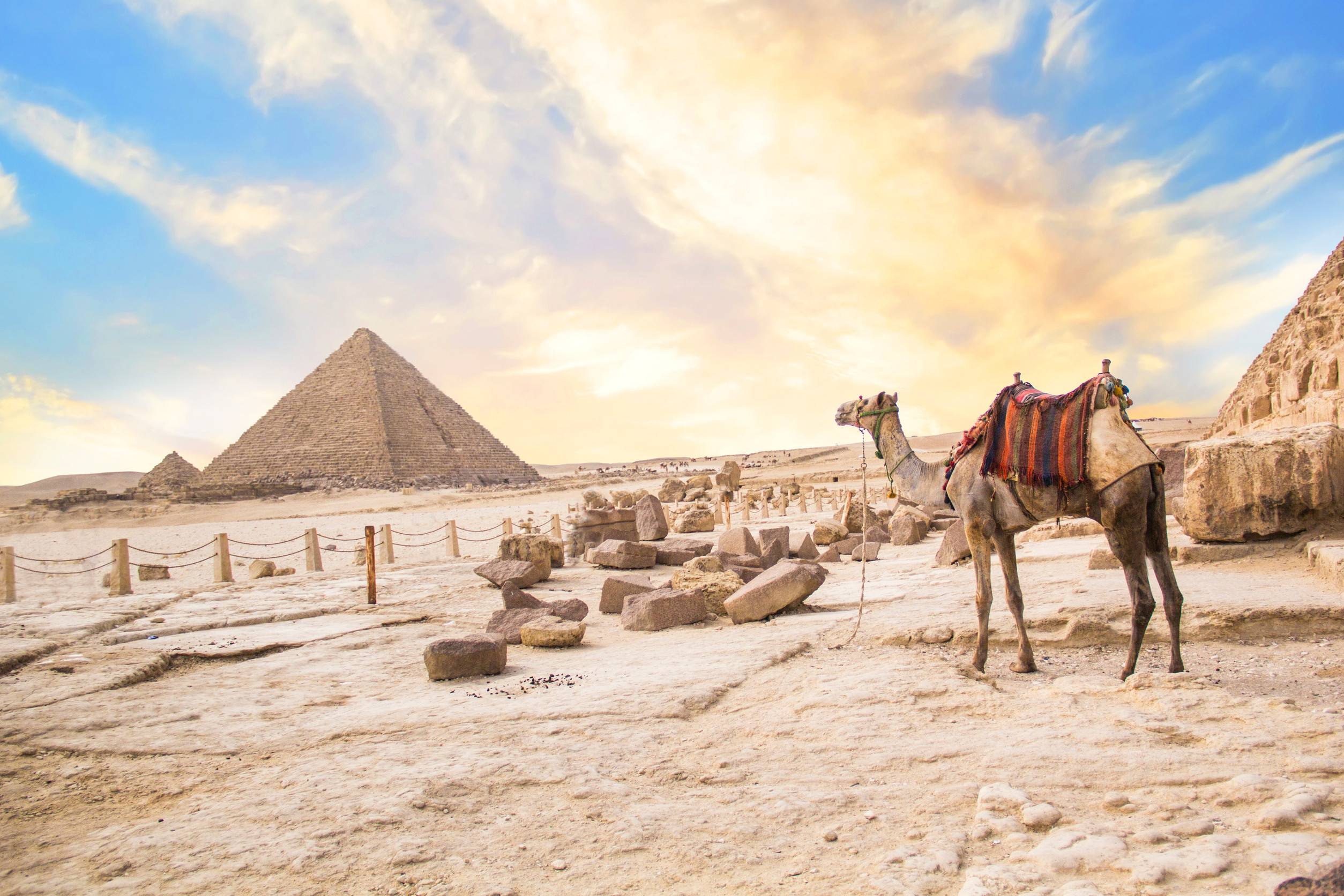 https egypt eta com images camel against the background of the pyramids of the pharaohs cheops khafren and mikerin