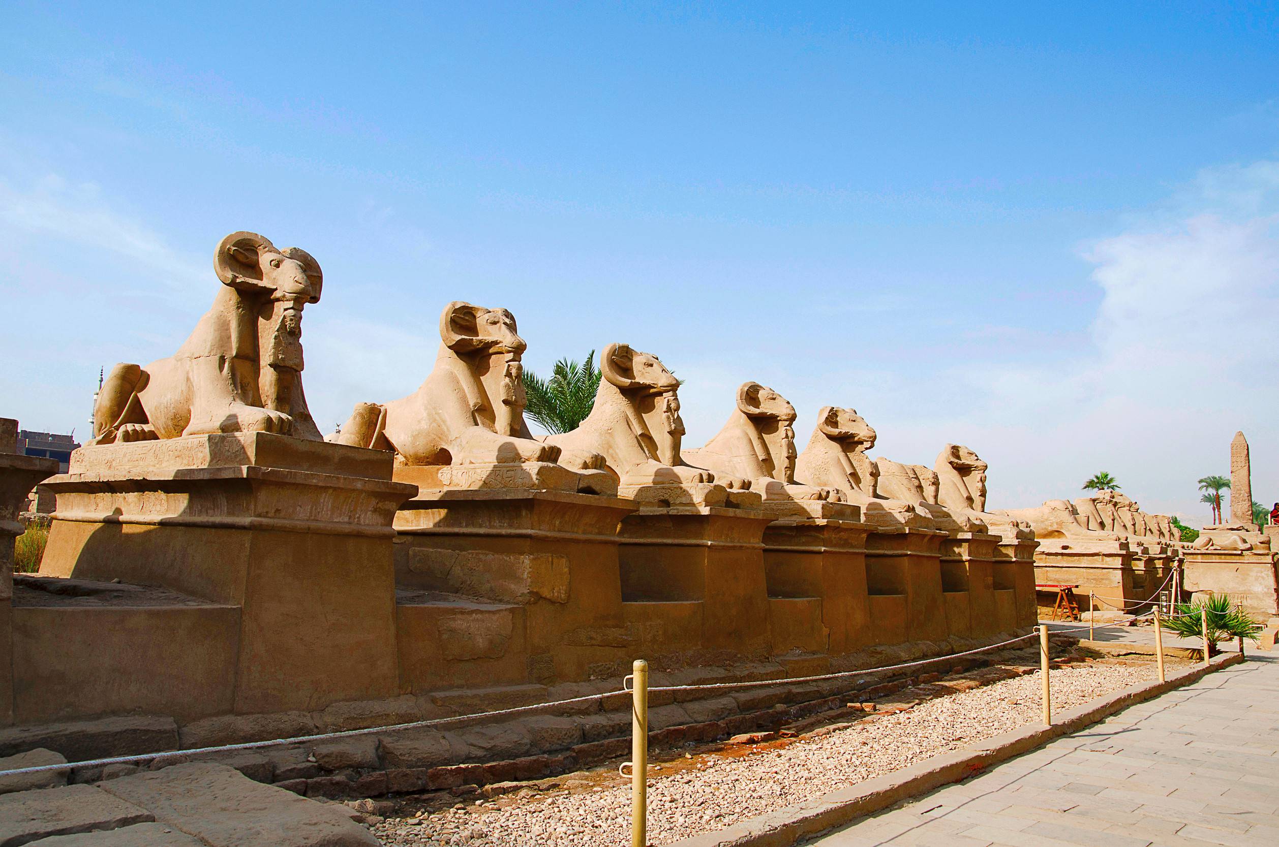 https egypt eta com images corridor of sphinxes of the god amon ra body of the lion and head of a sheep to protect his