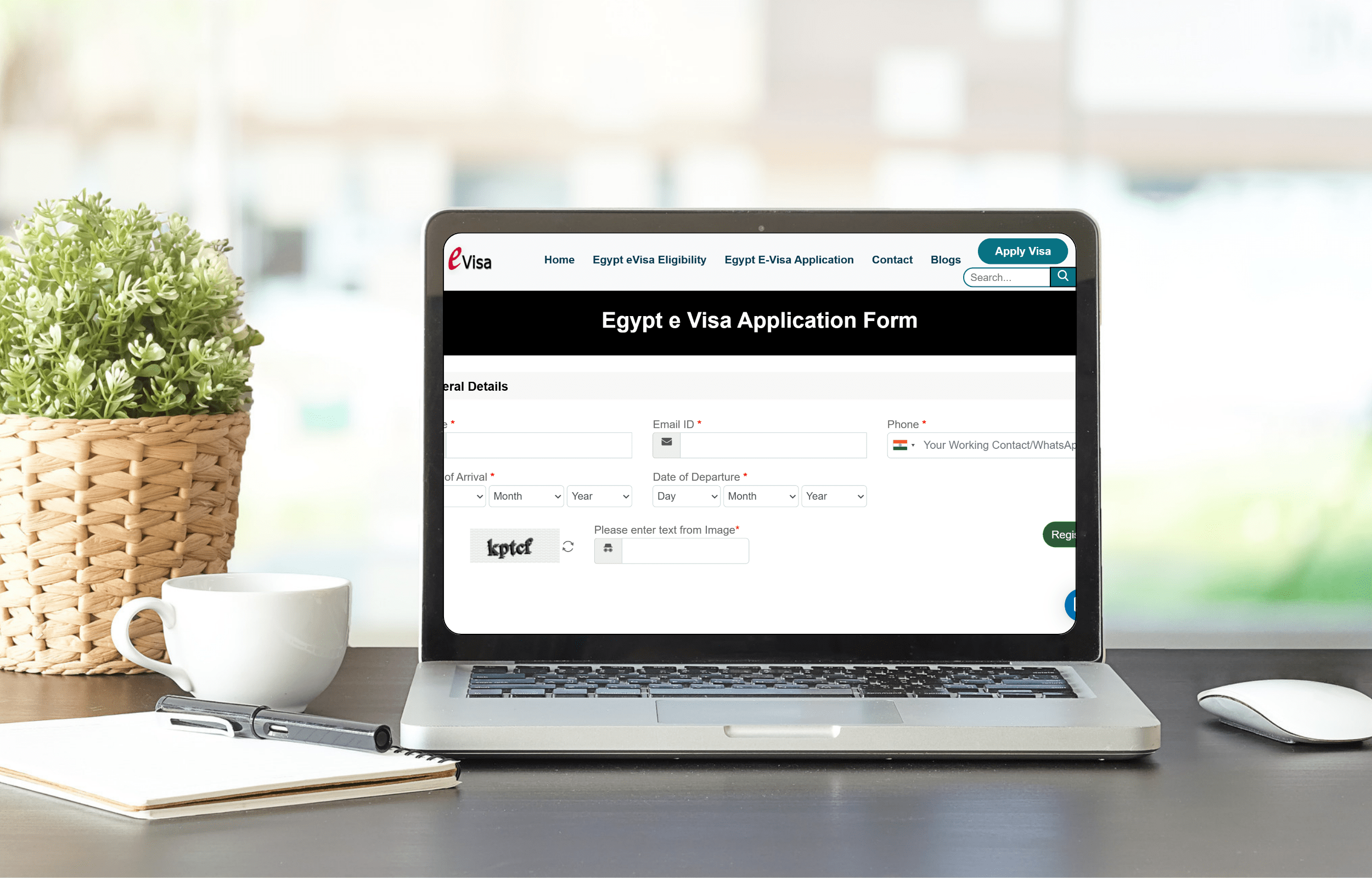 Egypt Evisa Application
