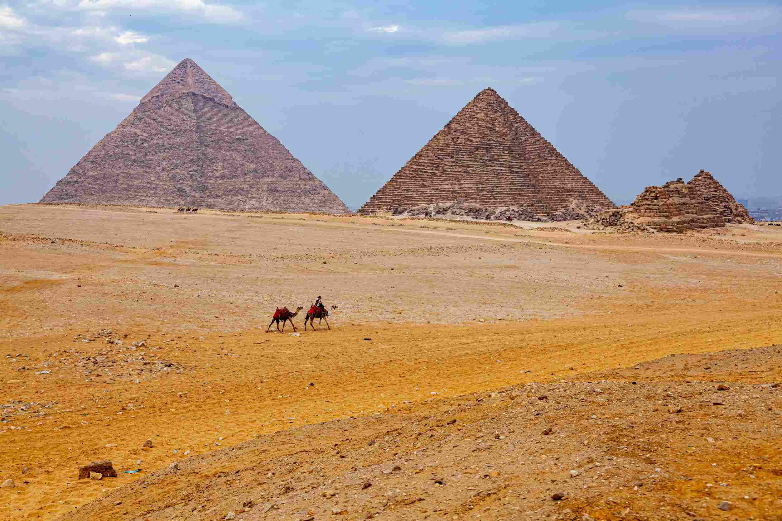 https egypt eta com images egyptian man and his camels walking in the sahara desert in sunny day with the great pyramid of giza