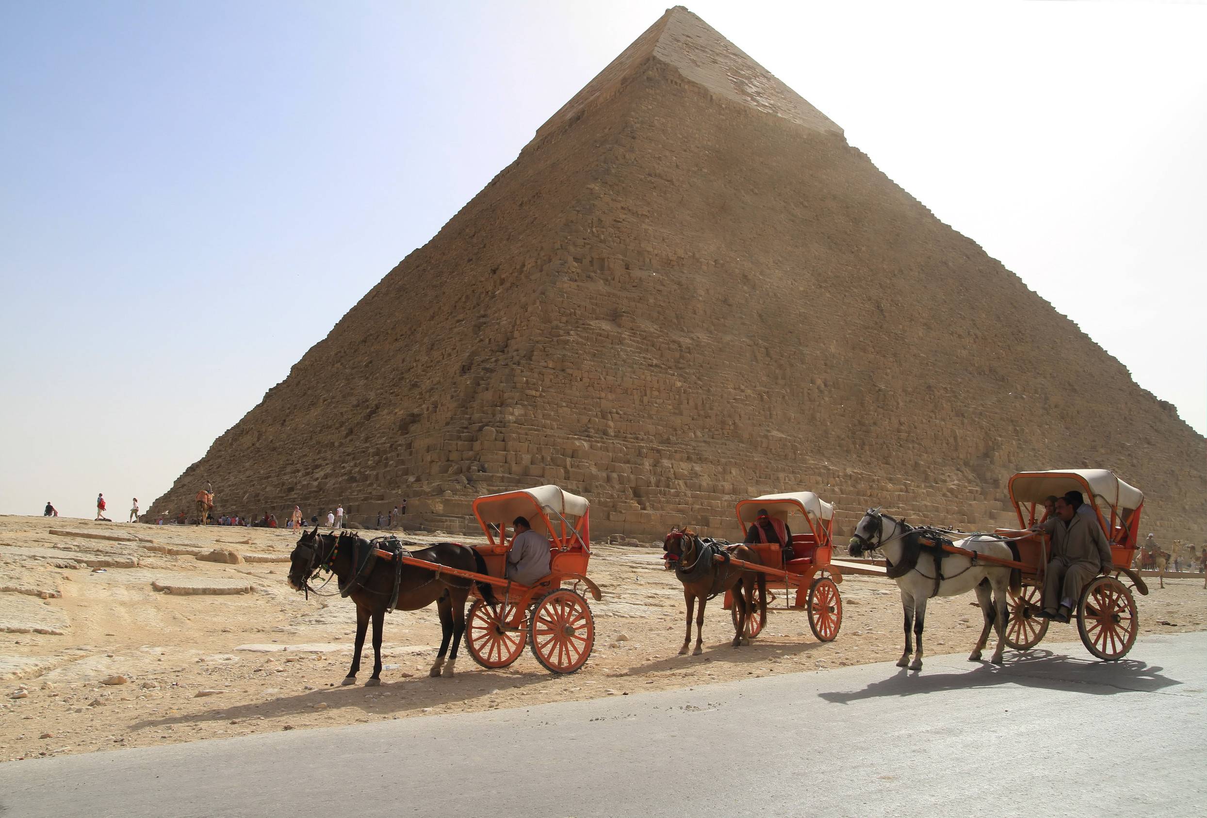 Egyptians Offering Horse Ride Under Great Pyramids Of Giza