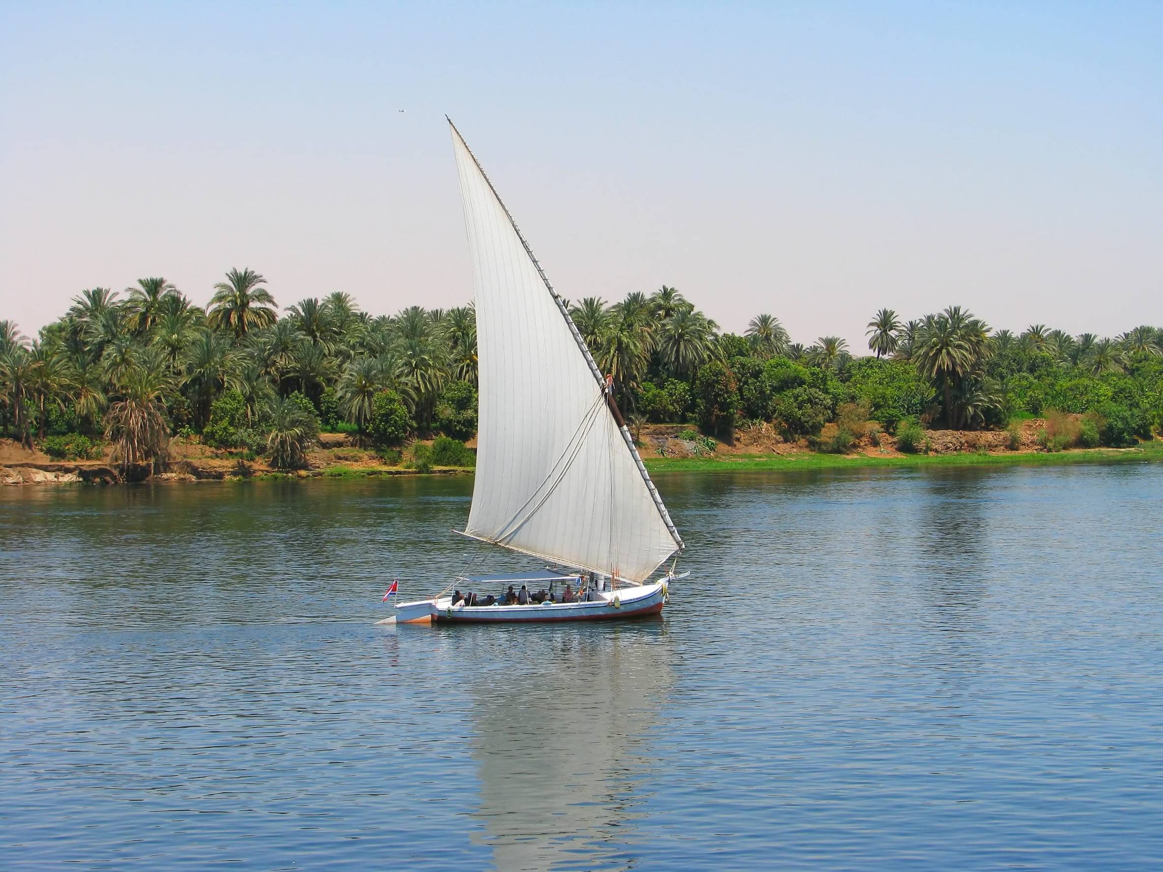 Faluca boat sailing in Nile River