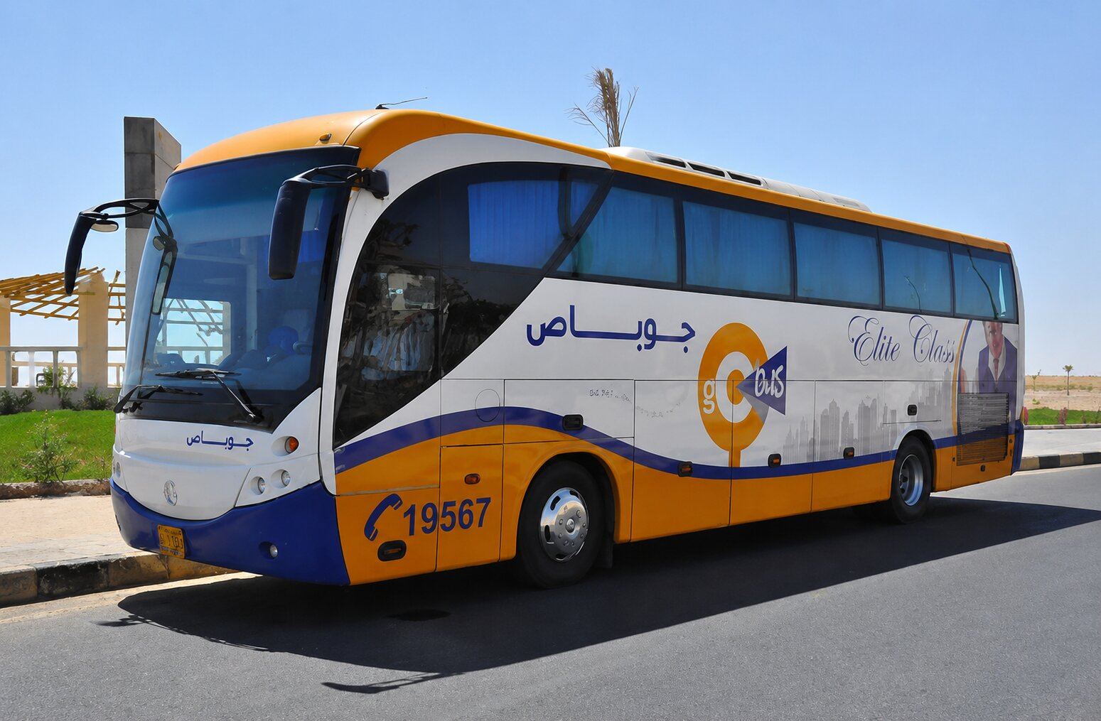 Go Bus In Egypt Go Bus In Egypt