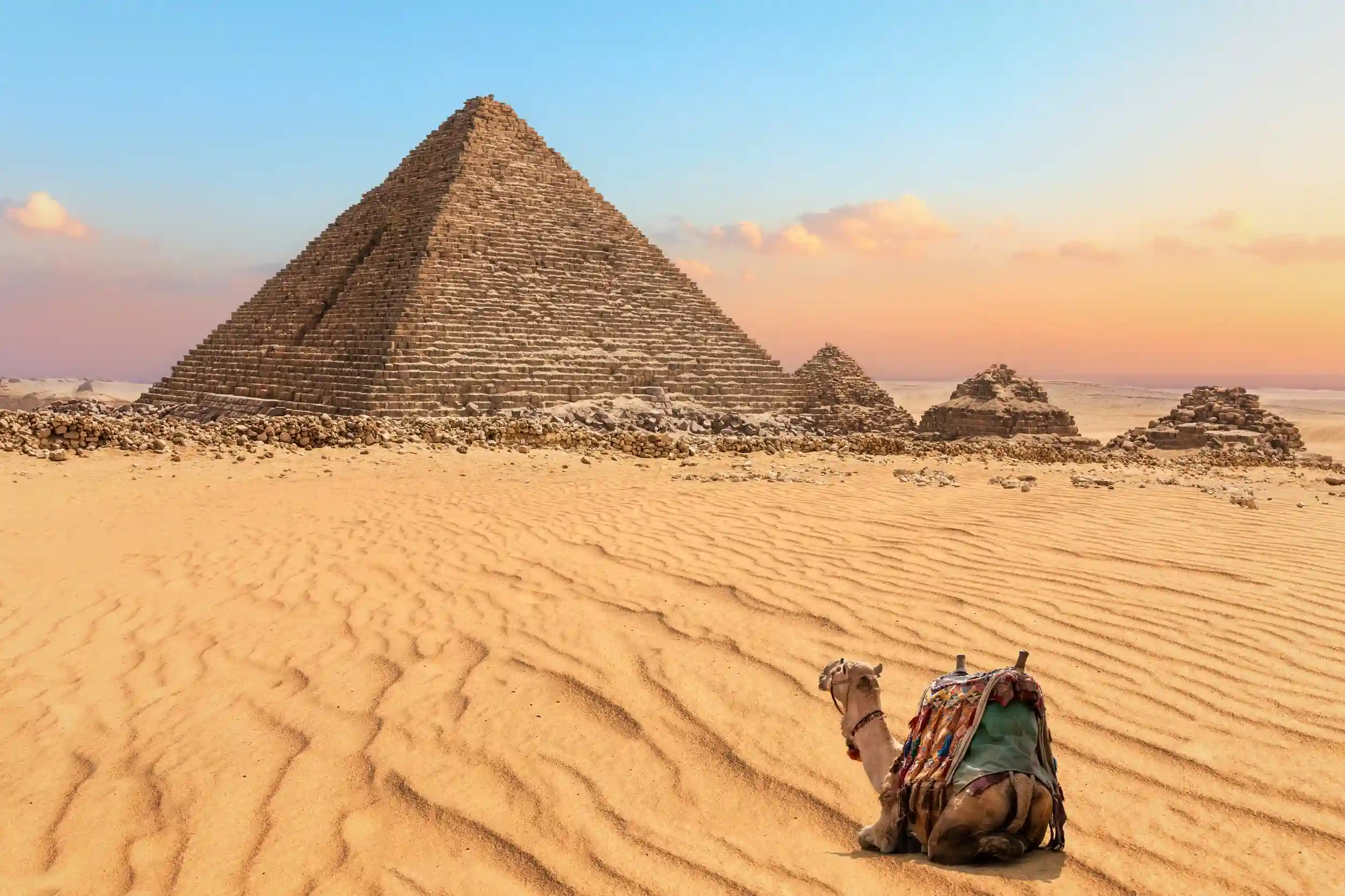 https egypt eta com images nice camel resting near the pyramid of menkaure in giza egypt