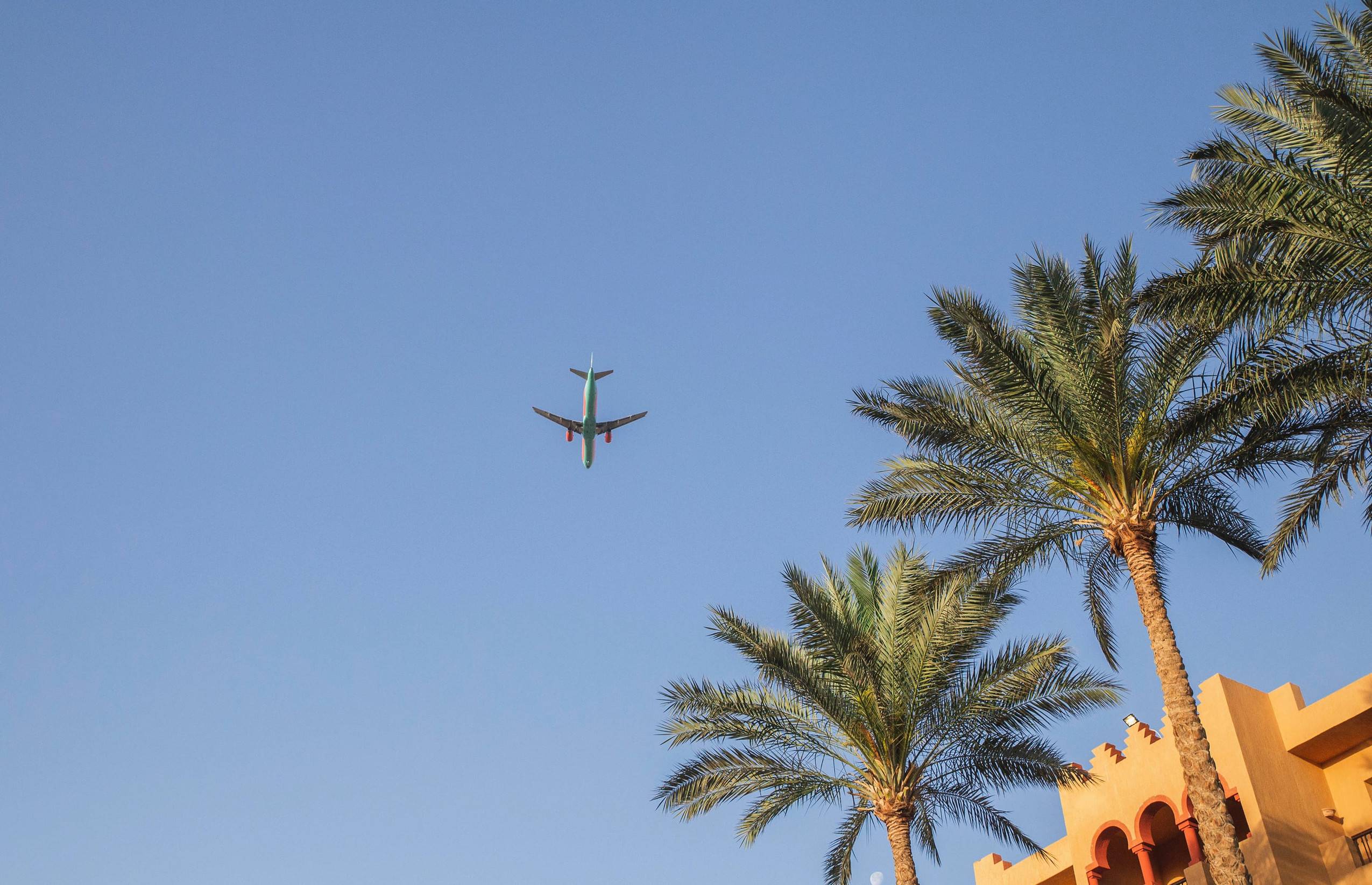 Plane Over The Palm Trees In Egypt Plane Over The Palm Trees In Egypt