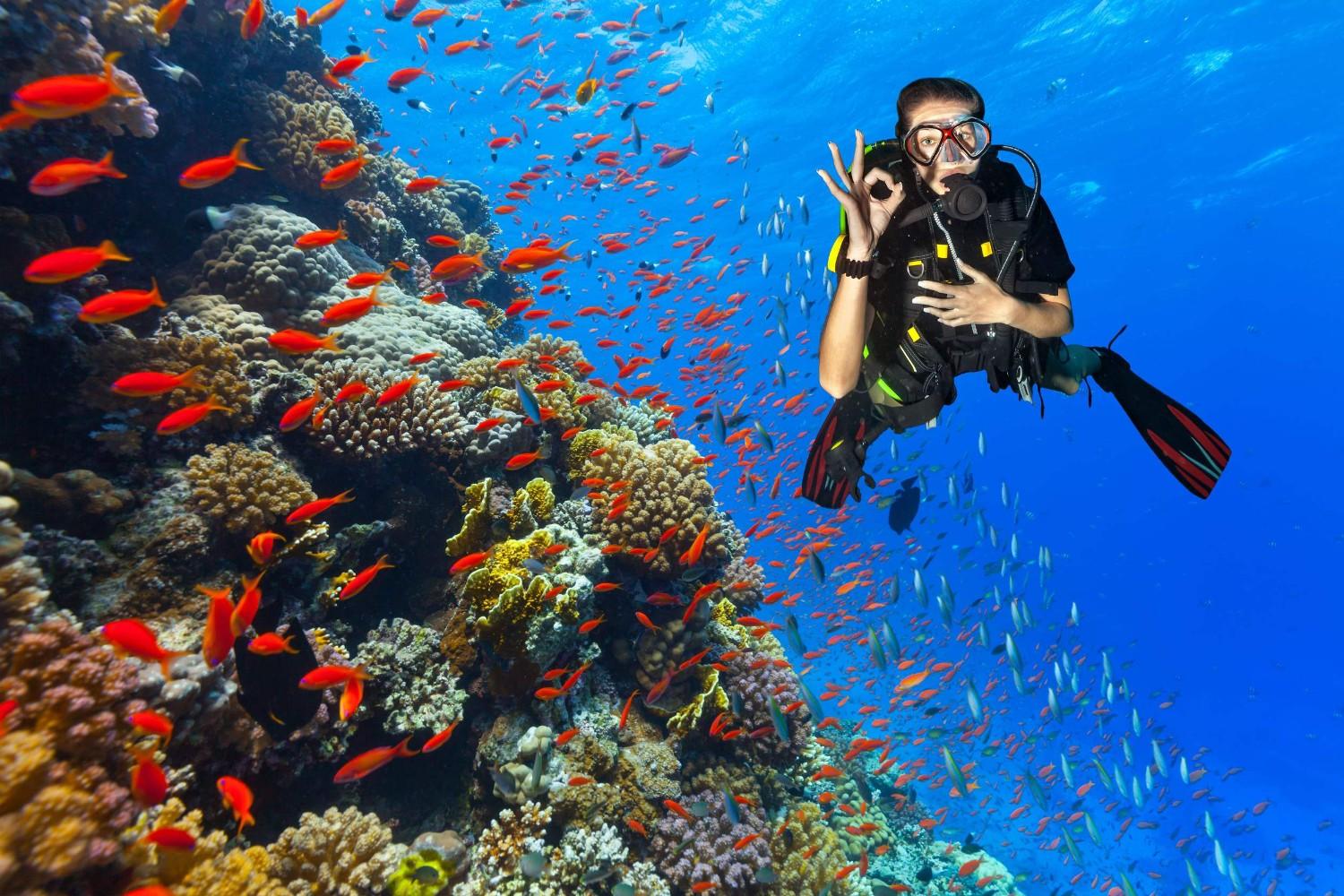 Scubadiving In Red Sea Egypt Scubadiving In Red Sea Egypt