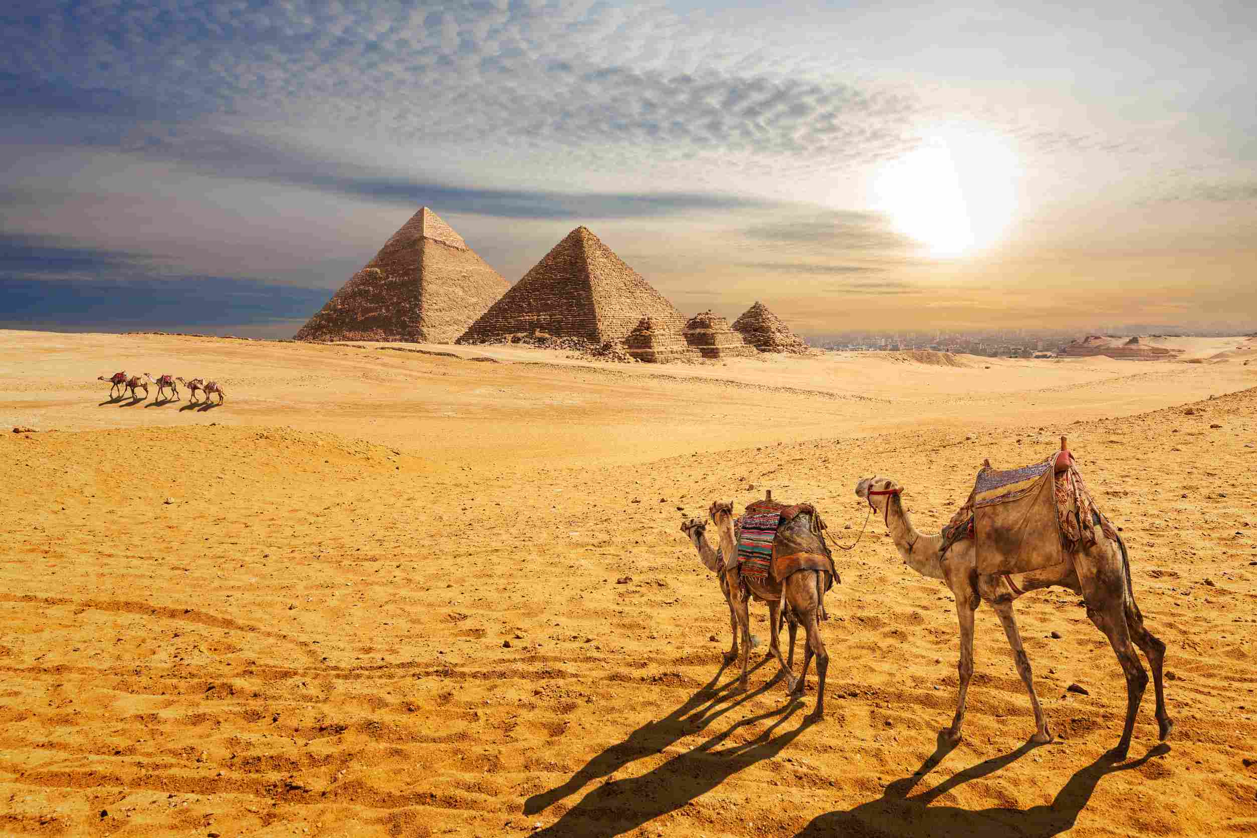 https egypt eta com images sunset desert scenery beautiful view of the pyramids of giza and camels egypt