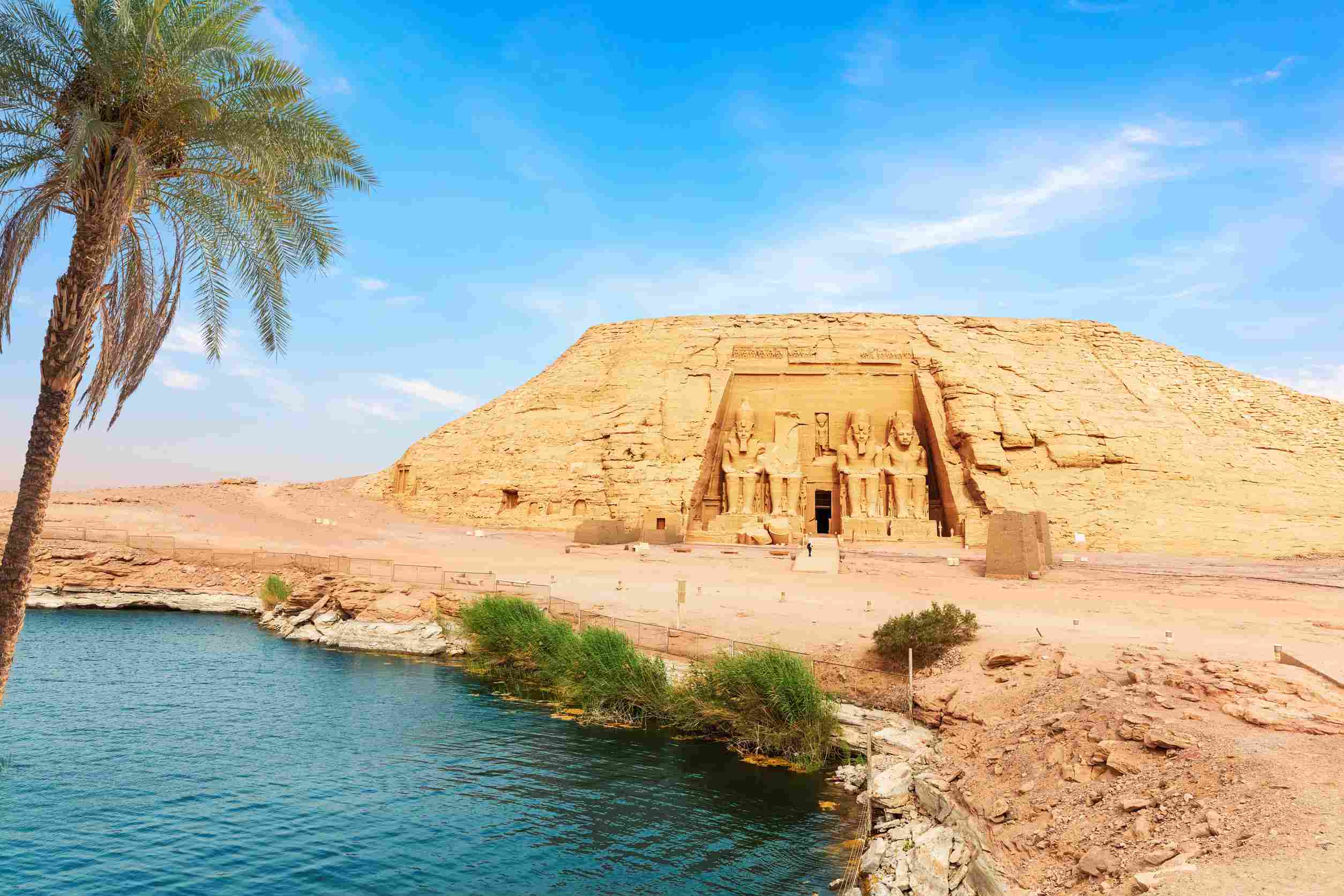 https egypt eta com images the palm on the bank of the nile river in abu simbel temple egypt