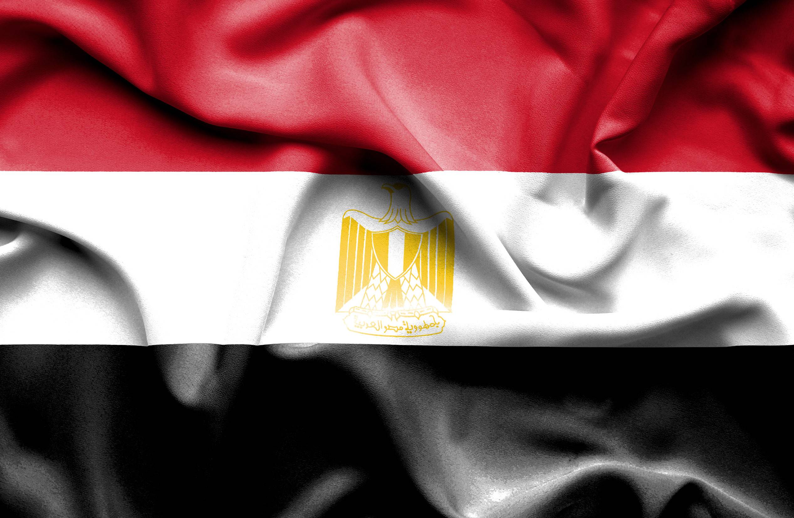 Waving flag of Egypt emblem