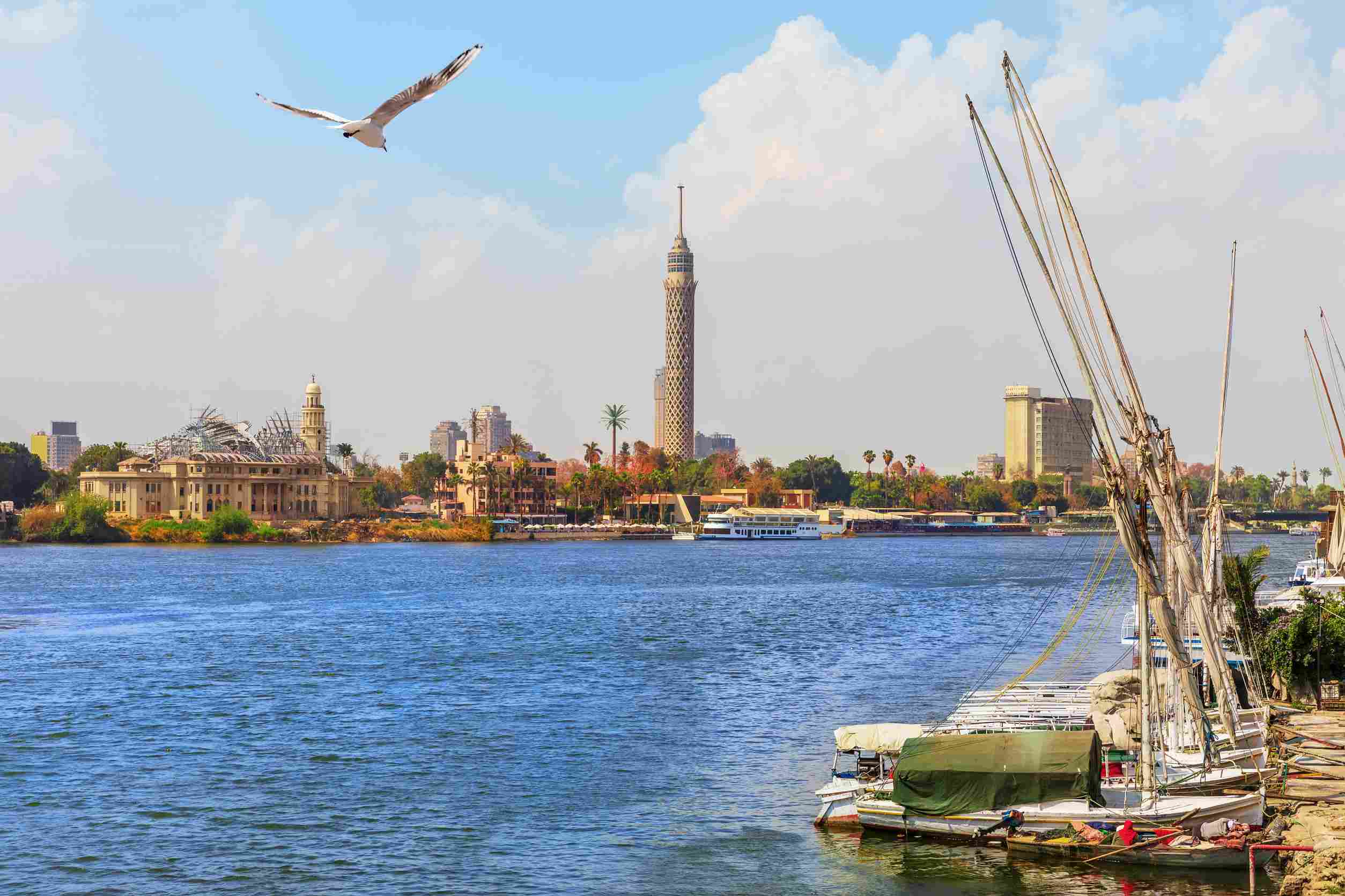 https egypt eta com images yachts near the pier the nile and the cairo tower egypt